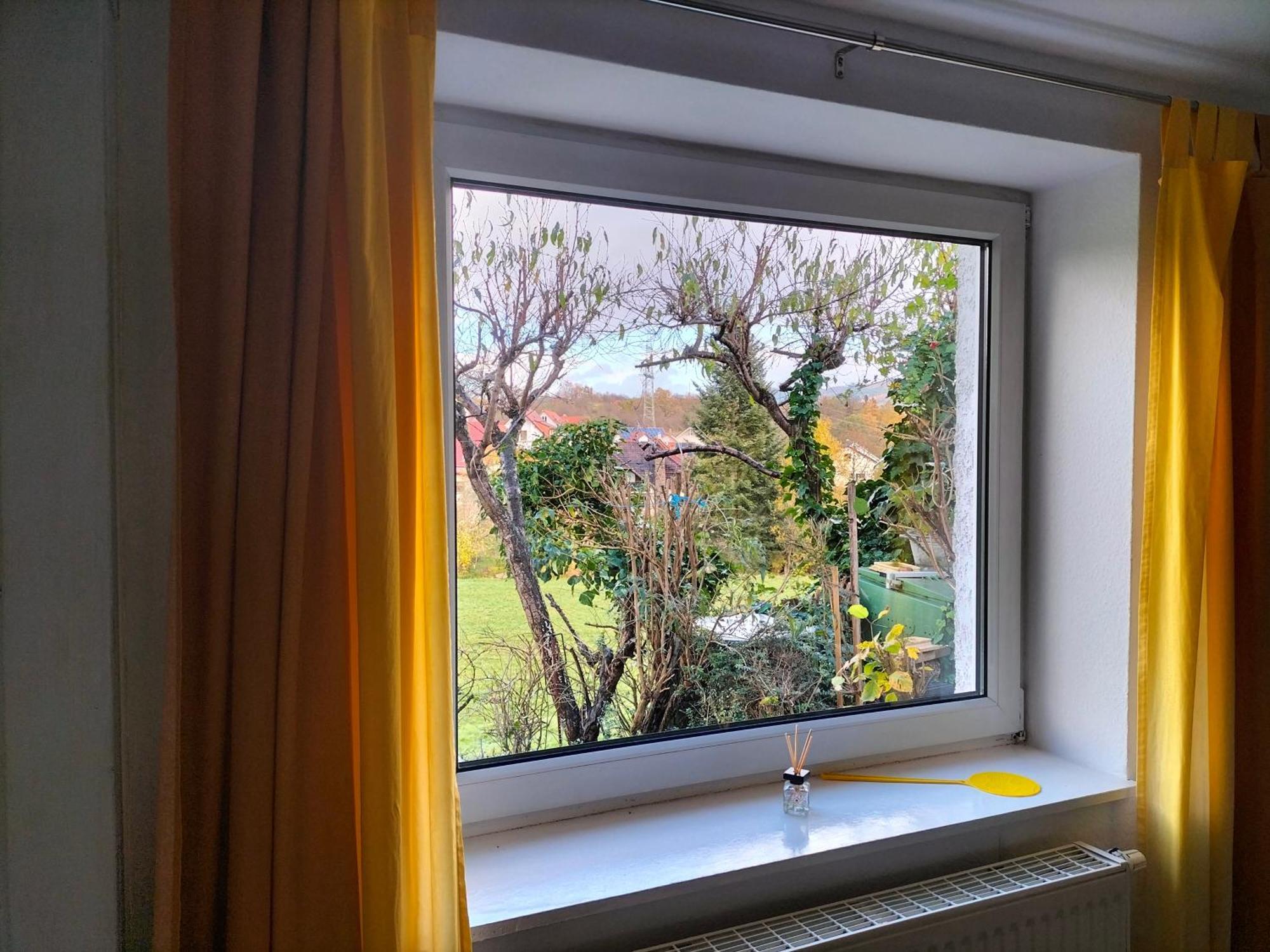Pension Rosenblick Mörlenbach エクステリア 写真