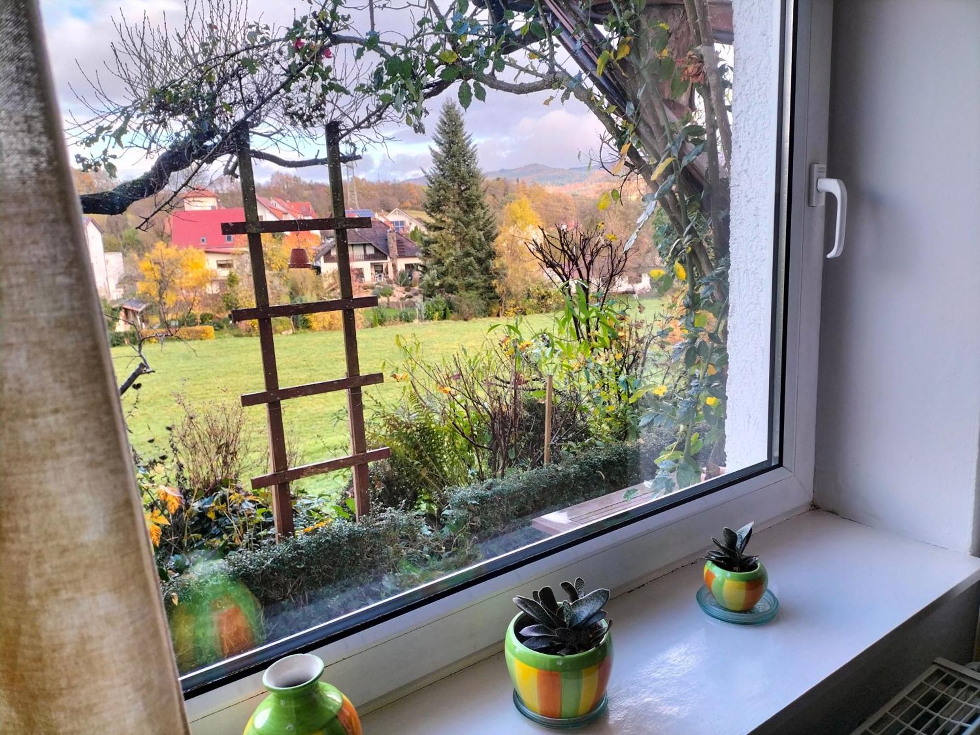 Pension Rosenblick Mörlenbach エクステリア 写真