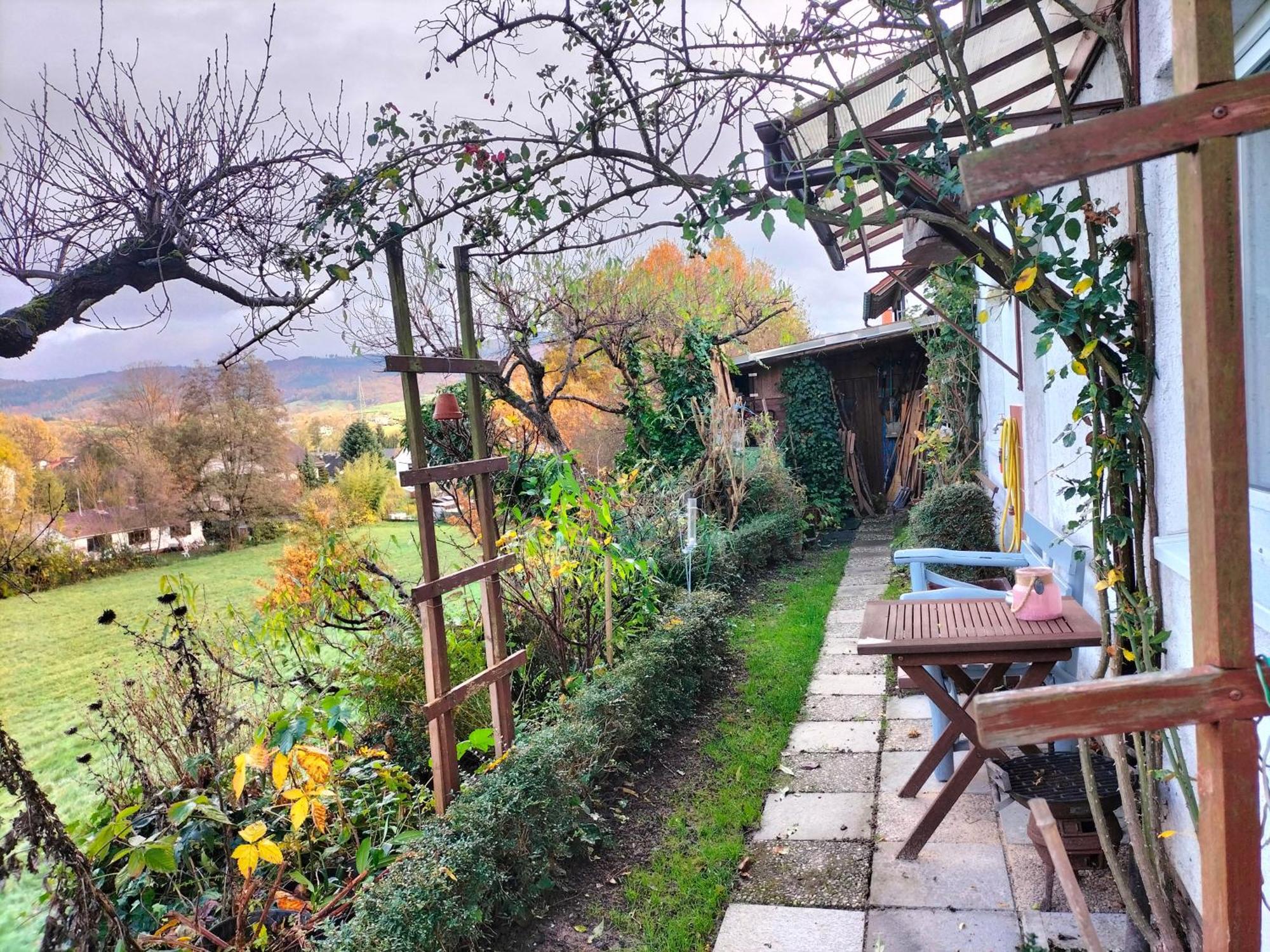 Pension Rosenblick Mörlenbach エクステリア 写真