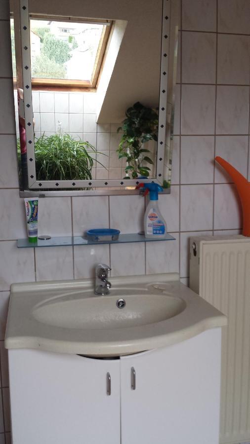 Pension Rosenblick Mörlenbach エクステリア 写真